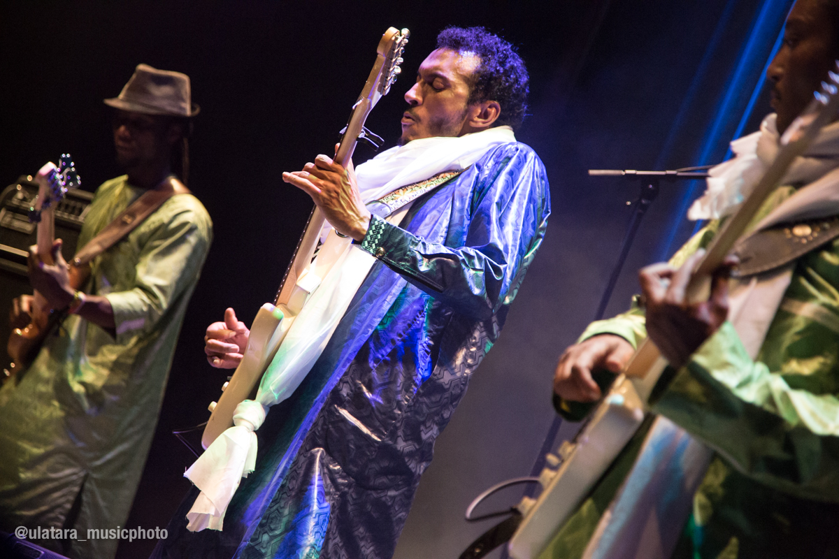 Bombino