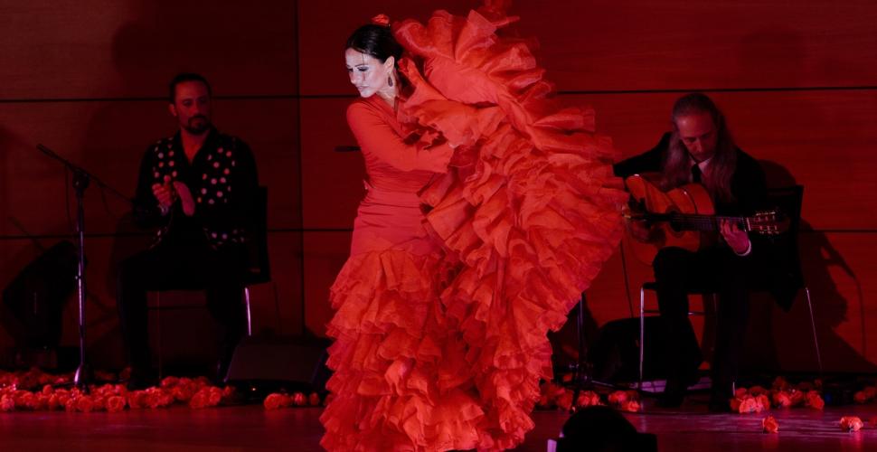 We Call It Flamenco