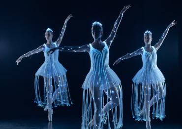 Sleeping Beauty Dance & Light Show