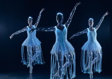 We call it Ballet: Sleeping Beauty Dance & Light Show