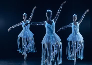 We call it Ballet: Sleeping Beauty Dance & Light Show